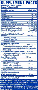 Amino-tone | Met elektrolyten en kruiden - 450 gram