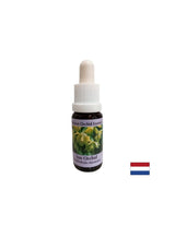 Echilibrează egoul - Essence Sunny Orchid nr. 18, picături 15 ml