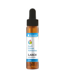 Bach cai Larch 20 ml