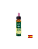 Brote de Castaño (kastanje maar) elixer bloemen 7 - kleur elixer van kastanje bud, 10 ml artesania