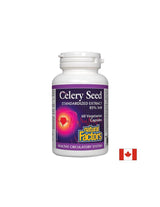 Celery Seed Standardized Extract 85% 3nB 75 mg - 60 capsules