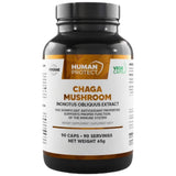 Chaga goba 600 mg - 90 kapsula