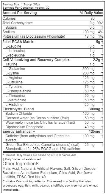 „Platinum Amino“ + Energija 300 gramų