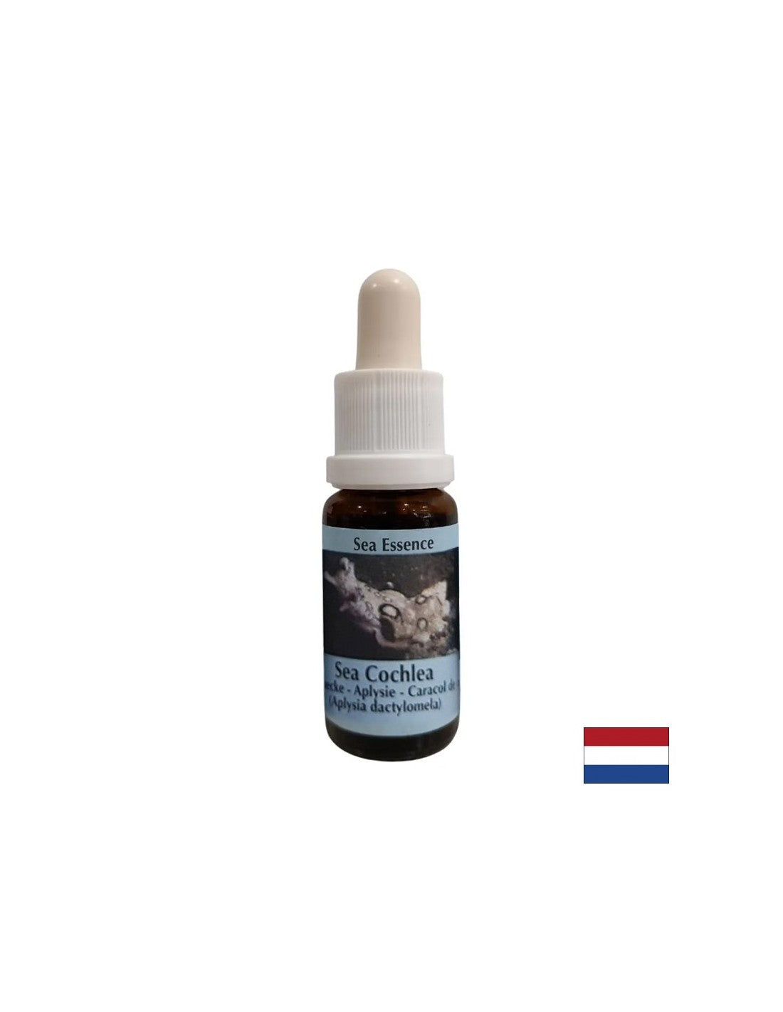 Gives inner strength in unstable situations - Sea Snail Essence No. 8, drops 15 ml