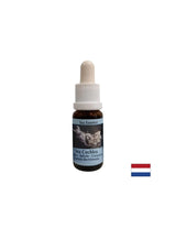 Gives inner strength in unstable situations - Sea Snail Essence No. 8, drops 15 ml