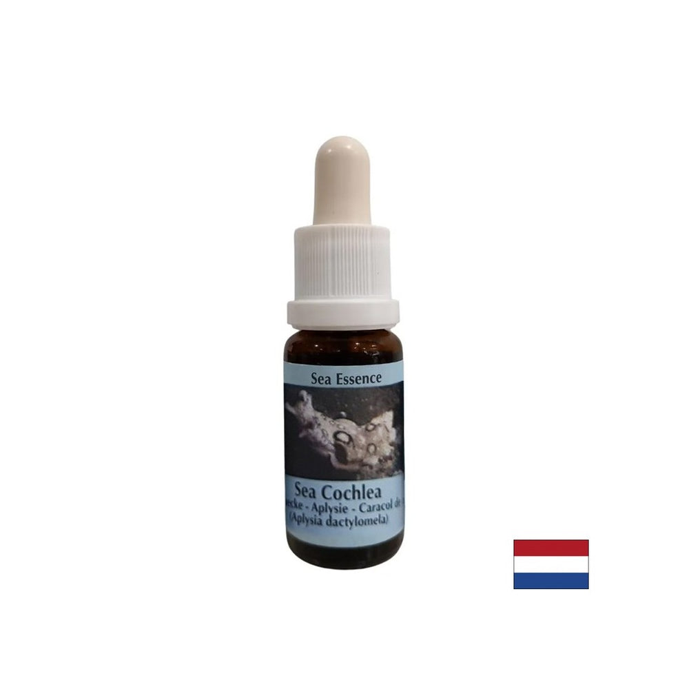 Gives inner strength in unstable situations - Sea Snail Essence No. 8, drops 15 ml