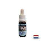 Gives inner strength in unstable situations - Sea Snail Essence No. 8, drops 15 ml