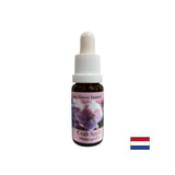DOTEXIFICAZIONE - Essenza di mela selvatica n. 10, cade 15 ml