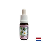 Promuove la comunicazione - Swamp Iris Essence, cade 15 ml