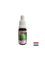 Quando si sente in colpa - Essence Boron n. 24, scende 15 ml