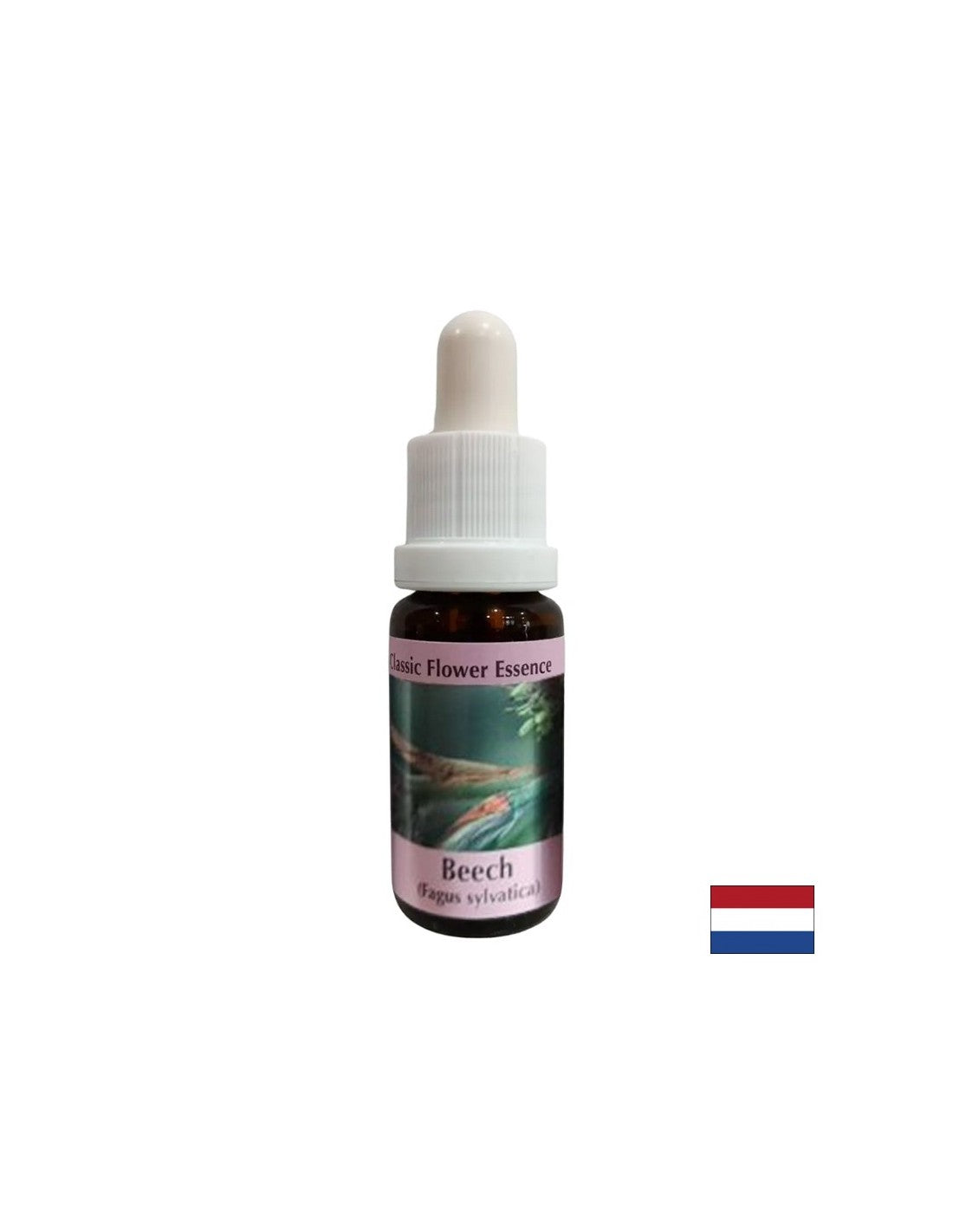 For the development of tolerance and generosity - Beech Essence No. 3, drops 15 ml
