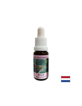 For the development of tolerance and generosity - Beech Essence No. 3, drops 15 ml