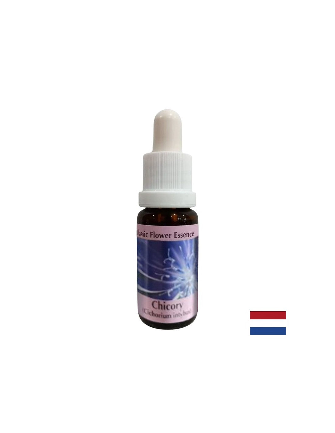 Per concentrarsi su te stesso - Chicory Essence n. 8, cade 15 ml