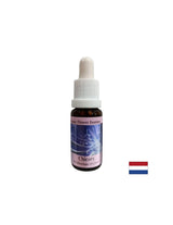 Per concentrarsi su te stesso - Chicory Essence n. 8, cade 15 ml