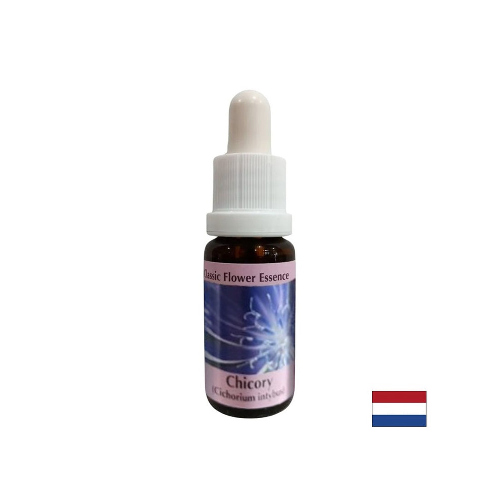 Per concentrarsi su te stesso - Chicory Essence n. 8, cade 15 ml