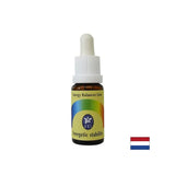 Essence Energy stabilnost št. 11, pade 15 ml