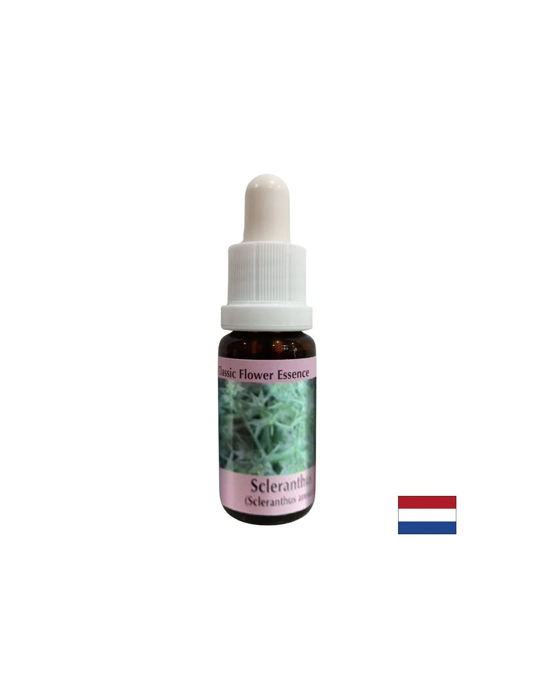 Per l'equilibrio interno - Essenza di cartilagine n. 28, scende 15 ml