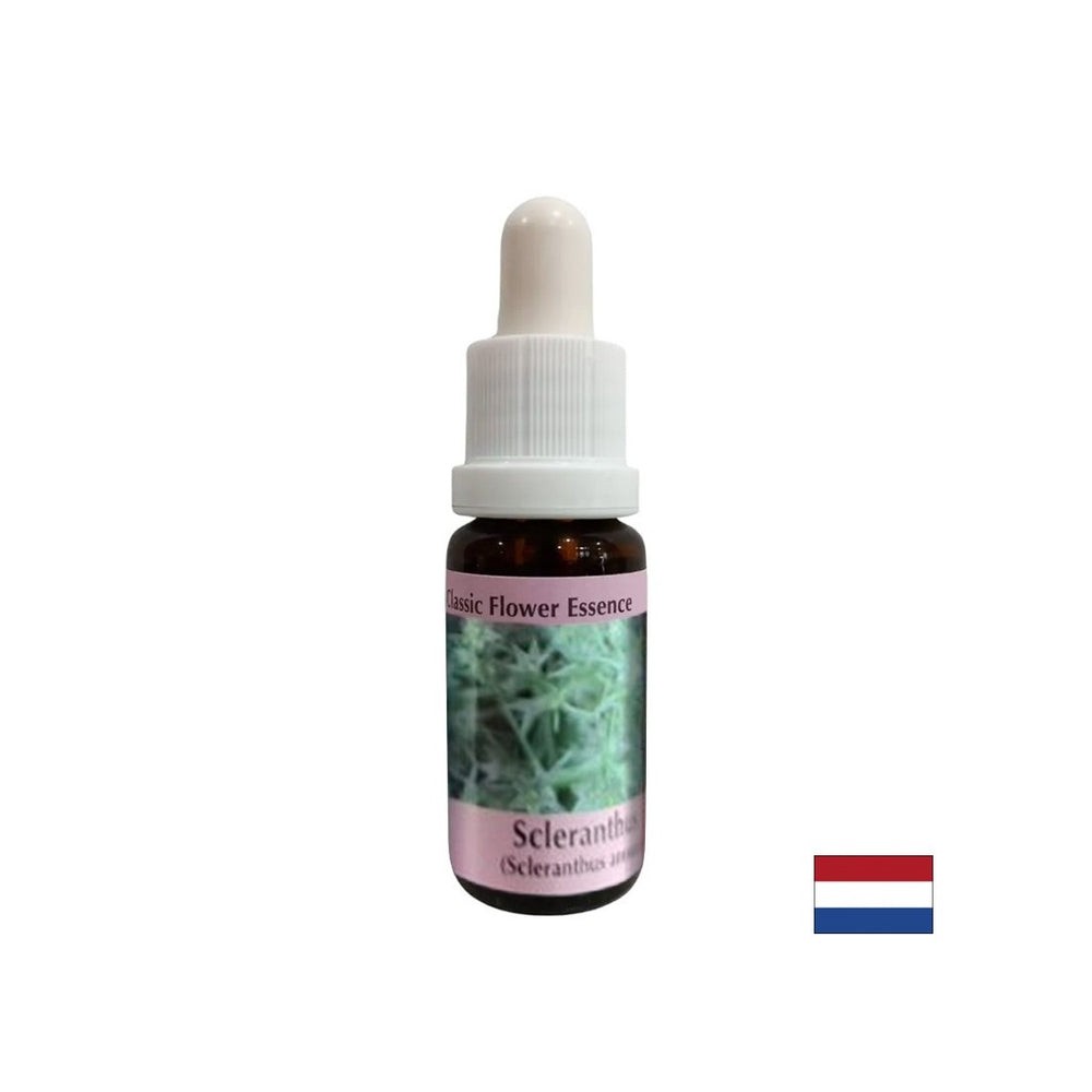 Per l'equilibrio interno - Essenza di cartilagine n. 28, scende 15 ml