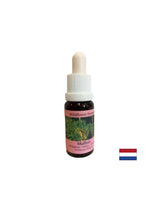 Supports teamwork and creativity - Lopen Essence No. 29, drops 15 ml