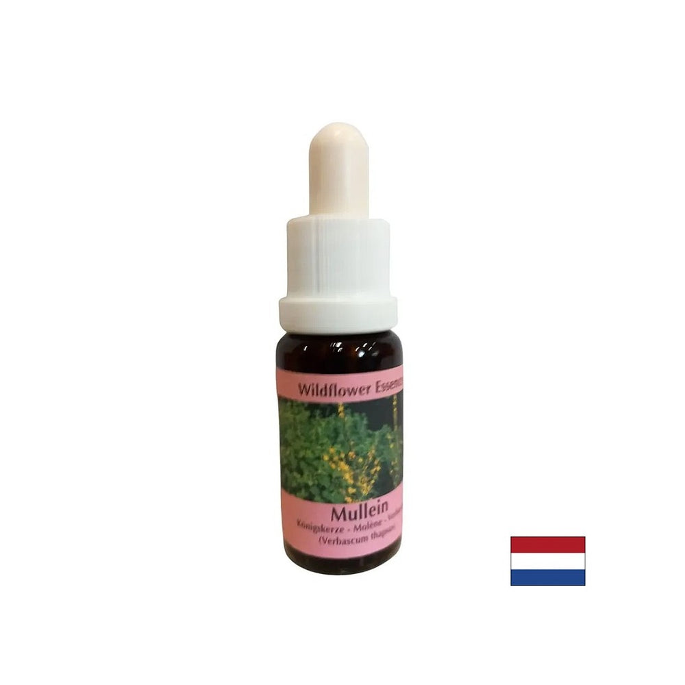 Supports teamwork and creativity - Lopen Essence No. 29, drops 15 ml