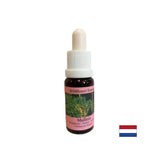 Supports teamwork and creativity - Lopen Essence No. 29, drops 15 ml