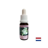 Ripristina la forza - Olive Essence n. 23, cade 15 ml