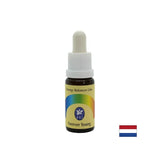 Essence Eternal Youth št. 4, pade 15 ml