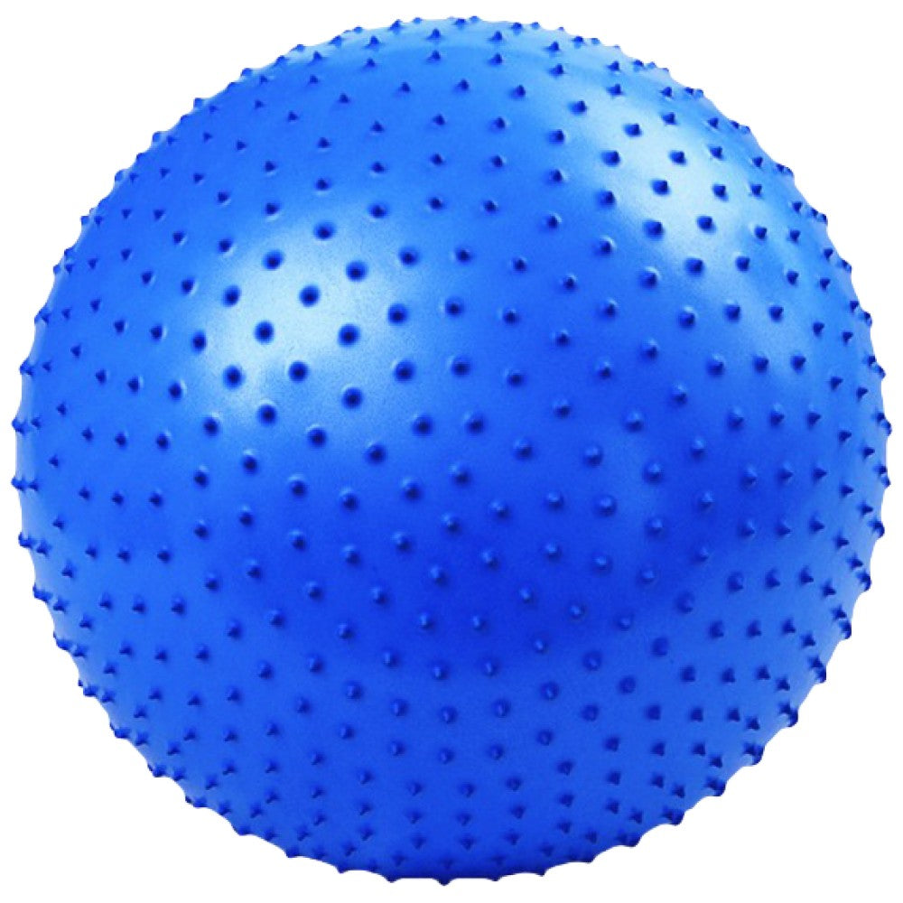 Massage Fitness Ball with a Pump 65 cm / Massage Fitness Ball with Pump 65 cm