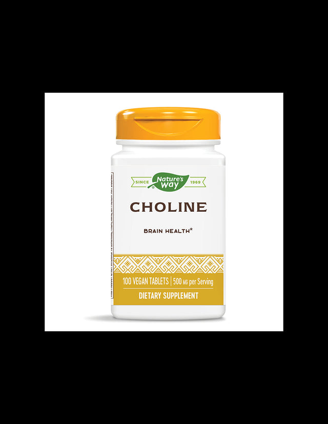 Choline 500 mg - 100 Таблетки - Feel You