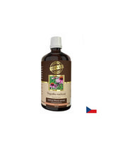 Immunità - Echinacea, 100 ml di tintura