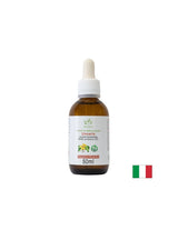Immunity - Cat's Claw, 50 ml drops