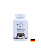 Immunity - Umbrella Polyporus, 420 mg x 180 capsules