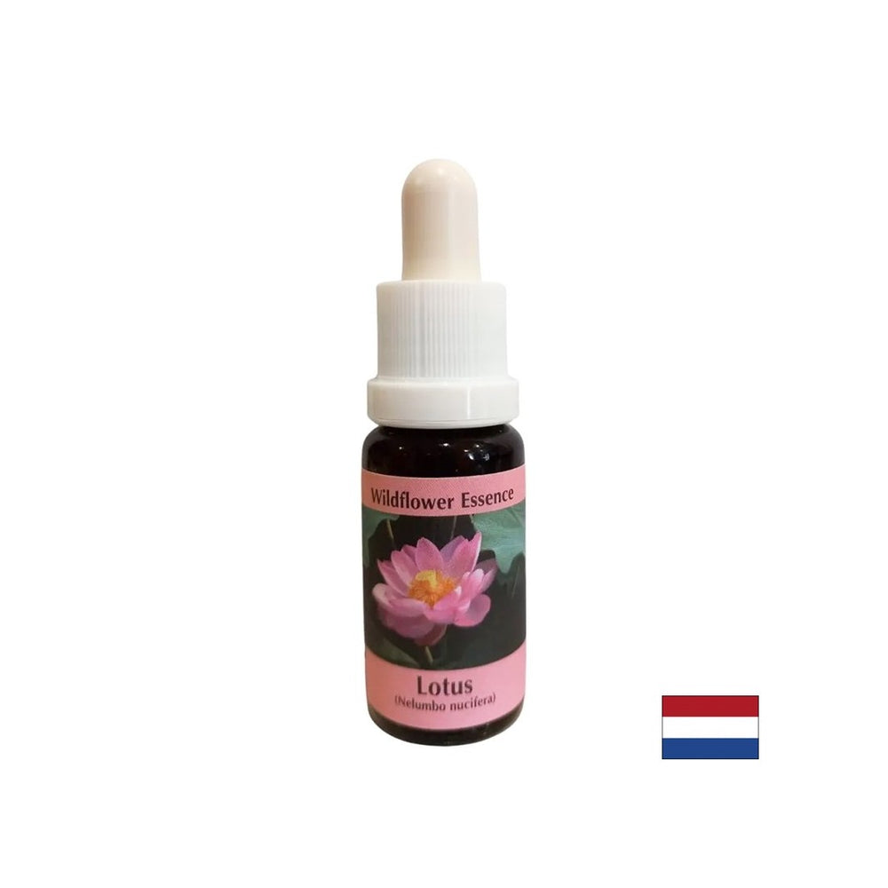 Armonizza i chakra e apre la mente - Essence Indian Lotus n. 30, scende 15 ml