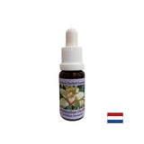Coordinates healing energies - Essence Coordinating Orchid No. 8, drops 15 ml