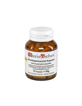 Кости и стави - Зеленоуста мида, 500 mg х 75 капсули - Feel You