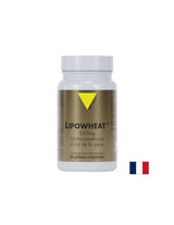 Piele frumoasă - Phyto Ceramides Lipowheat™, 350 mg x 30 capsule