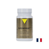 Piele frumoasă - Phyto Ceramides Lipowheat™, 350 mg x 30 capsule