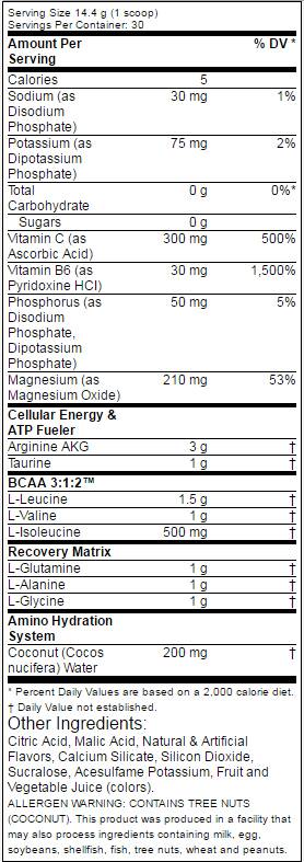 Amino 1 Hydrate + Recover 432 грама - Feel You