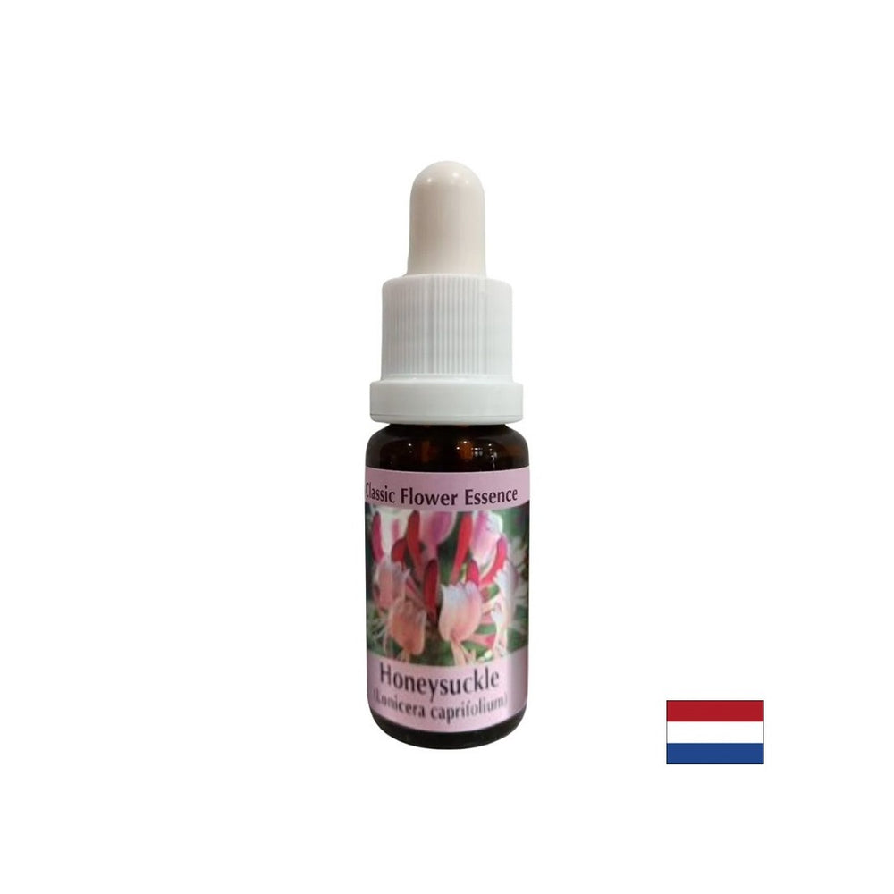 Promuove la positività - Honeysuckle Essence n. 16, scende 15 ml