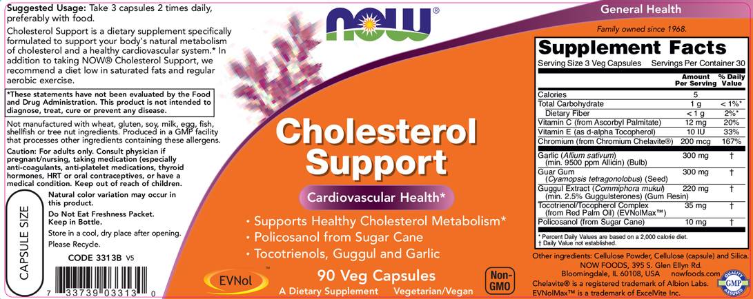 Cholesterol Support - 90 Kapselen