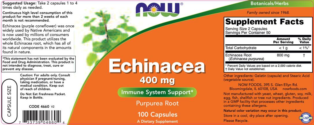 Echinacea 400 mg - 100 cápsulas