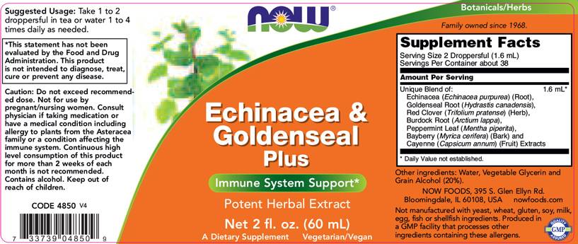 „Echinacea & Goldenseal Plus“ - 60 ml