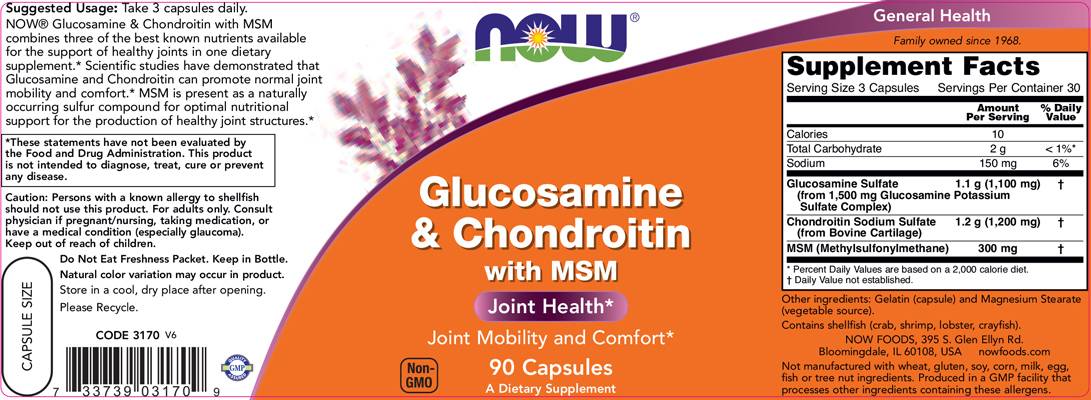 Glucosamine & Chondroitin + MSM - 90 capsules