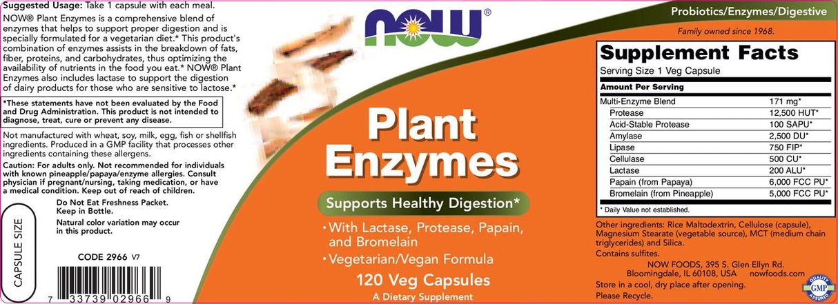 Plant Enzymes - 240 capsules