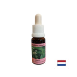Unisce i centri energetici, per una buona digestione - Basil Essence n. 23, scende 15 ml
