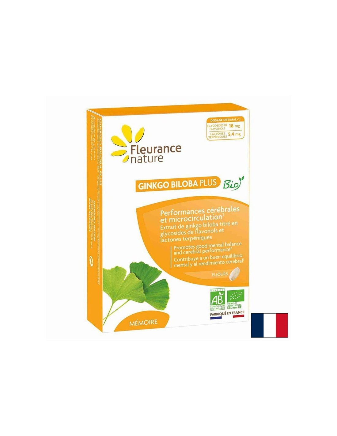 Memory and circulation - Ginkgo biloba, 600 mg x 30 tablets