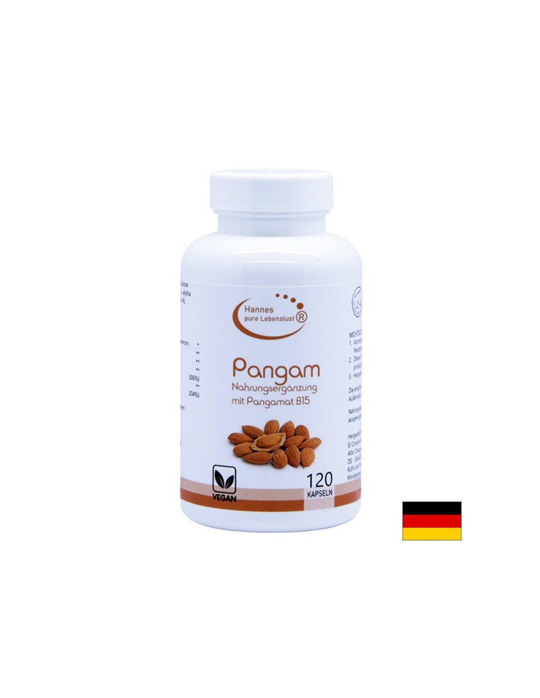 Pangam Nahrungsegänzung Mit Pangamat B15 - Panam (Vitamine B15), 120 EL Compra Capsules