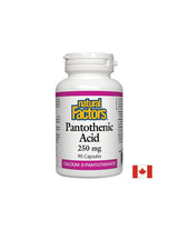 Pantotheenzuur 250 mg - 90 capsules