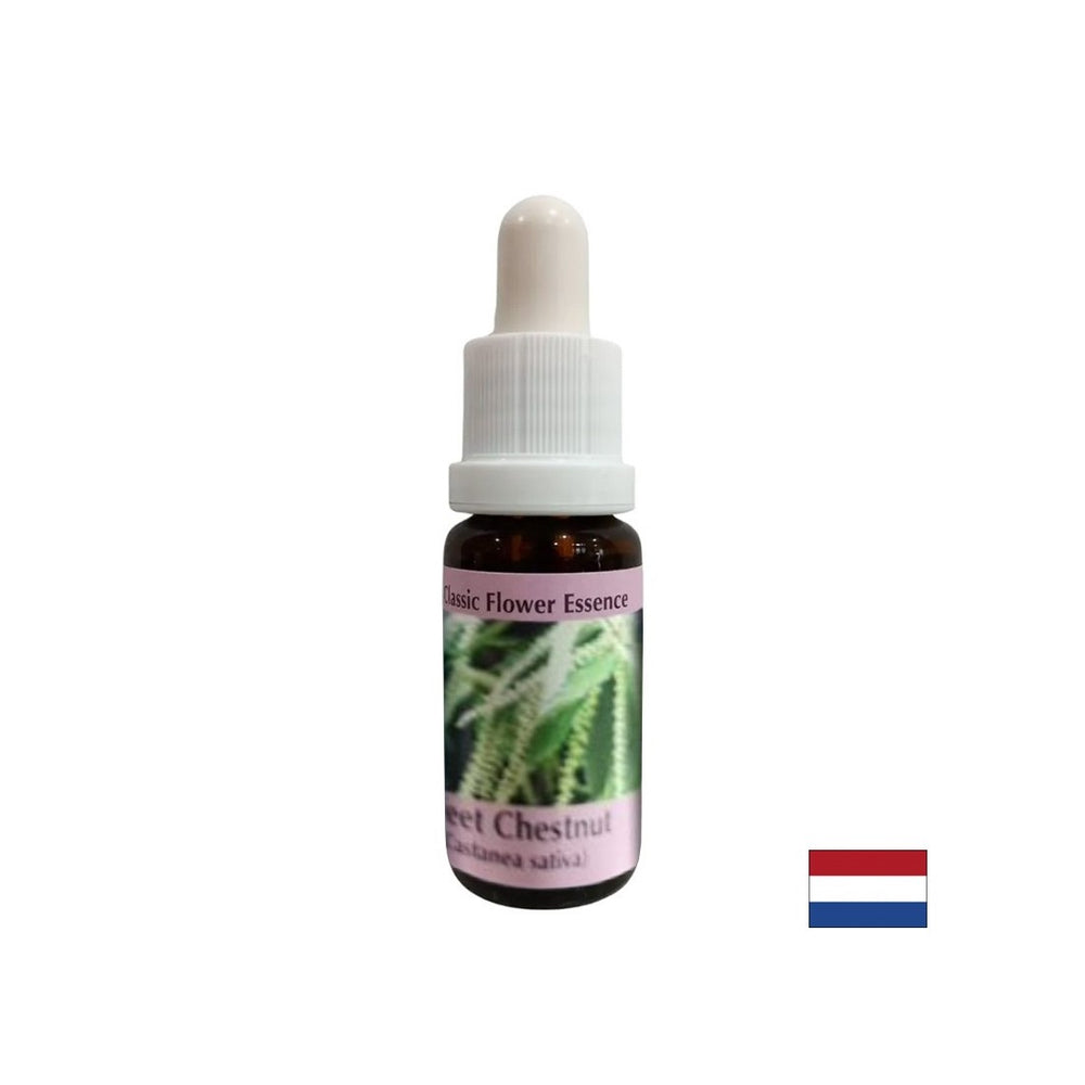 In tempi di disperazione e impasse - Sweet Castas Essence, cade 15 ml