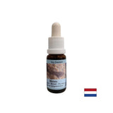 Supports intuition and sharing of emotions - Essence Sea Dog No. 5, drops 15 ml